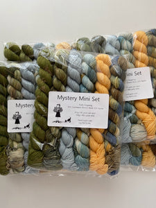 Mystery Mini 6-Skein Set